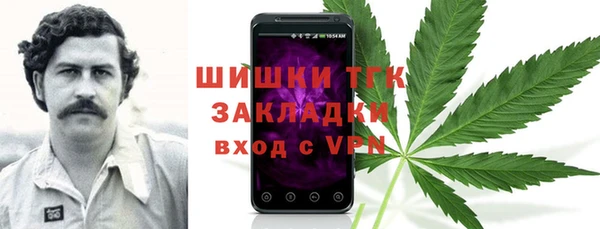 тгк Дмитровск