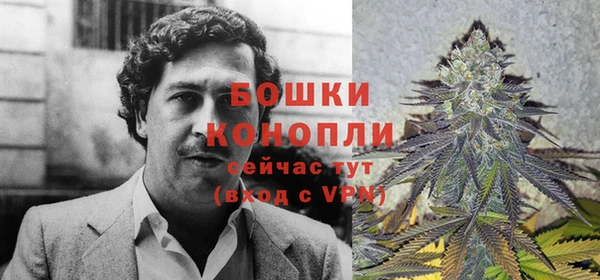 тгк Дмитровск