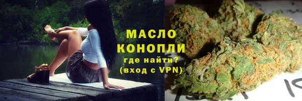 тгк Дмитровск