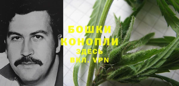 эйфоретик Дмитриев