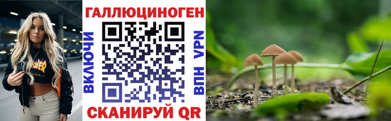 Галлюциногенные грибы Psilocybe  Купить  Богучар 